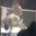 The scariest KO you will see today