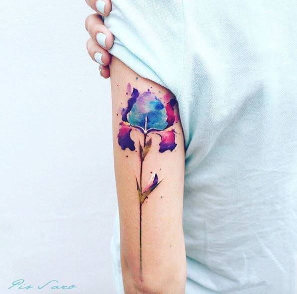 Esta aquarela íris