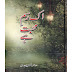 Free Download Urdu Novel Ek Rasm e Mohabbat Hai By Saima Akram Chaudhry
