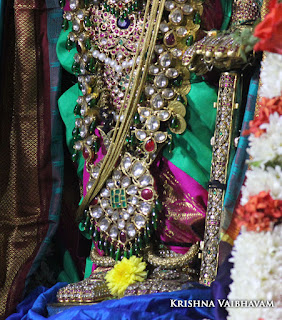 Vaikunta, Ekadesi,Paramapatha Vasal,Dharisanam, Sri PArthasarathy Perumal, Perumal, Venkata Krishna , Varushotsavam, 2017, Video, Divya Prabhandam,Triplicane,Thiruvallikeni,Utsavam,