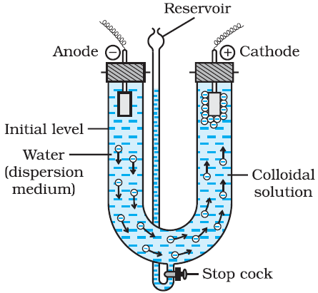 Electrophoresis