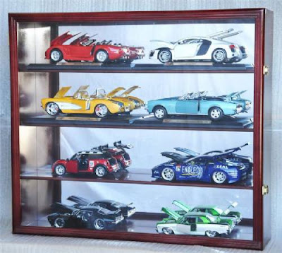 SHELVED DISPLAY CASE