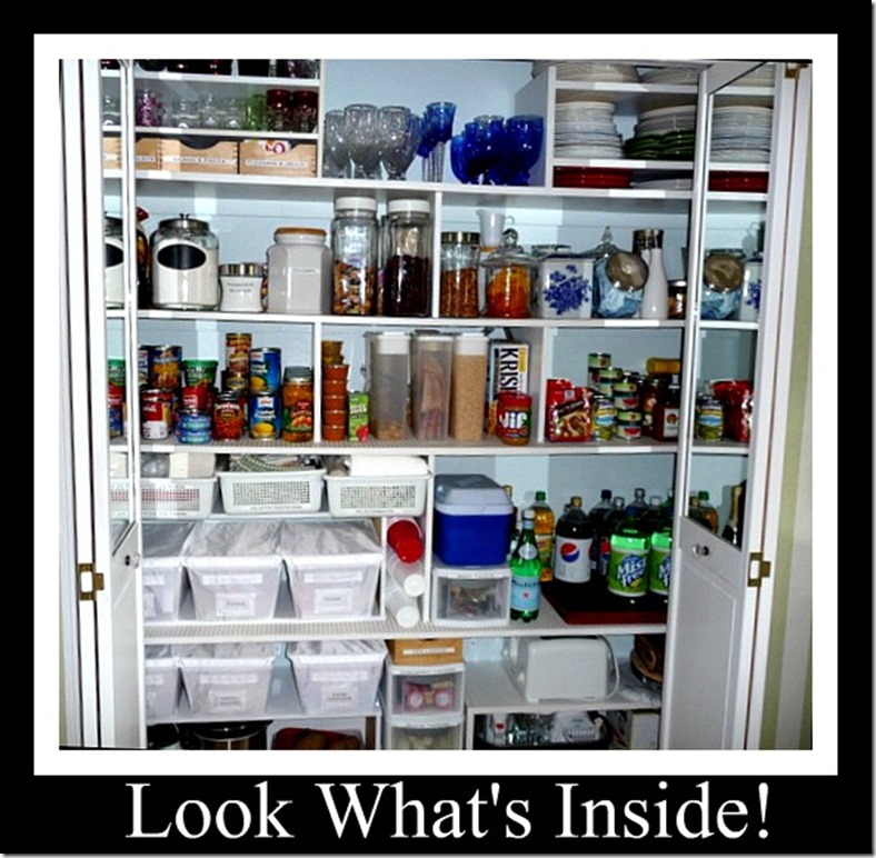 pantry closet ribbit049_thumb[20]