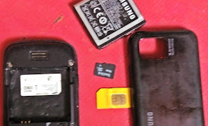 How To Fix  A Water Damaged Phone