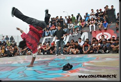 Imagen 610 copia