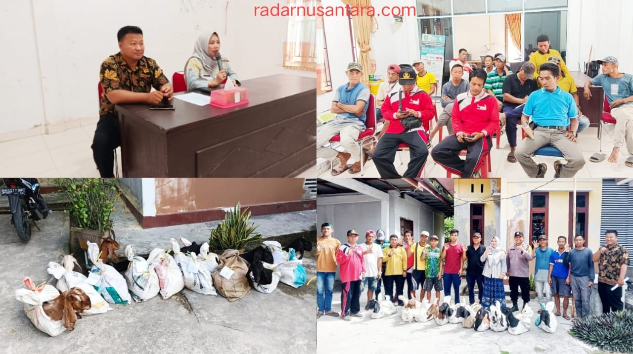 Pemdes Pancur Jaya Salurkan Program Ketahanan Pangan 12 Ekor Melalui Dana Desa DD Tahun 2024.