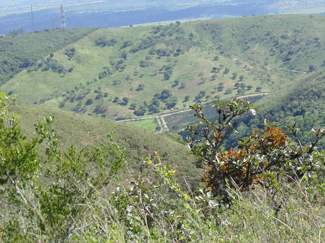 TURISMO: NO CUME DA SERRA DO BULANDIM TEM A VEGETAÇÃO DE ALTITUDE