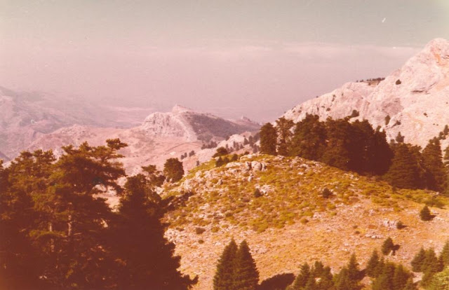 Fotografía de Laurent Minoux del Paisaje de la ladera Norte de la Sierra de las Nieves, a la vista del Peñón de Ronda, 19-VIII-1976. Fuente: Dr. Laurent Minoux, http://www.minouxia.fr/minouxia-herbar-hisp.htm