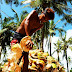 The Philippine Coconut Industry: Status, Policies and Strategic Directions for Development