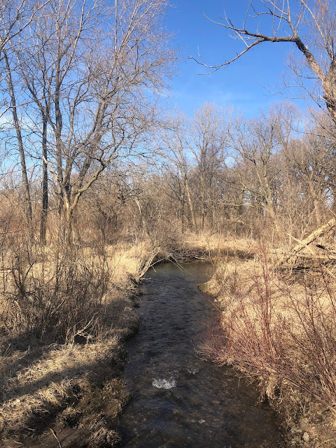 Bowes Creek rambles over a rocky bed at Bowes Creek Forest Preserve in Elgin, Illinois