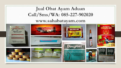 Obat Ayam Habis Lumpuh, Obat Ayam Habis Sakit, Obat Ayam Habis Tarung Jalu, Obat Ayam Haemovit, Obat Ayam Herbal