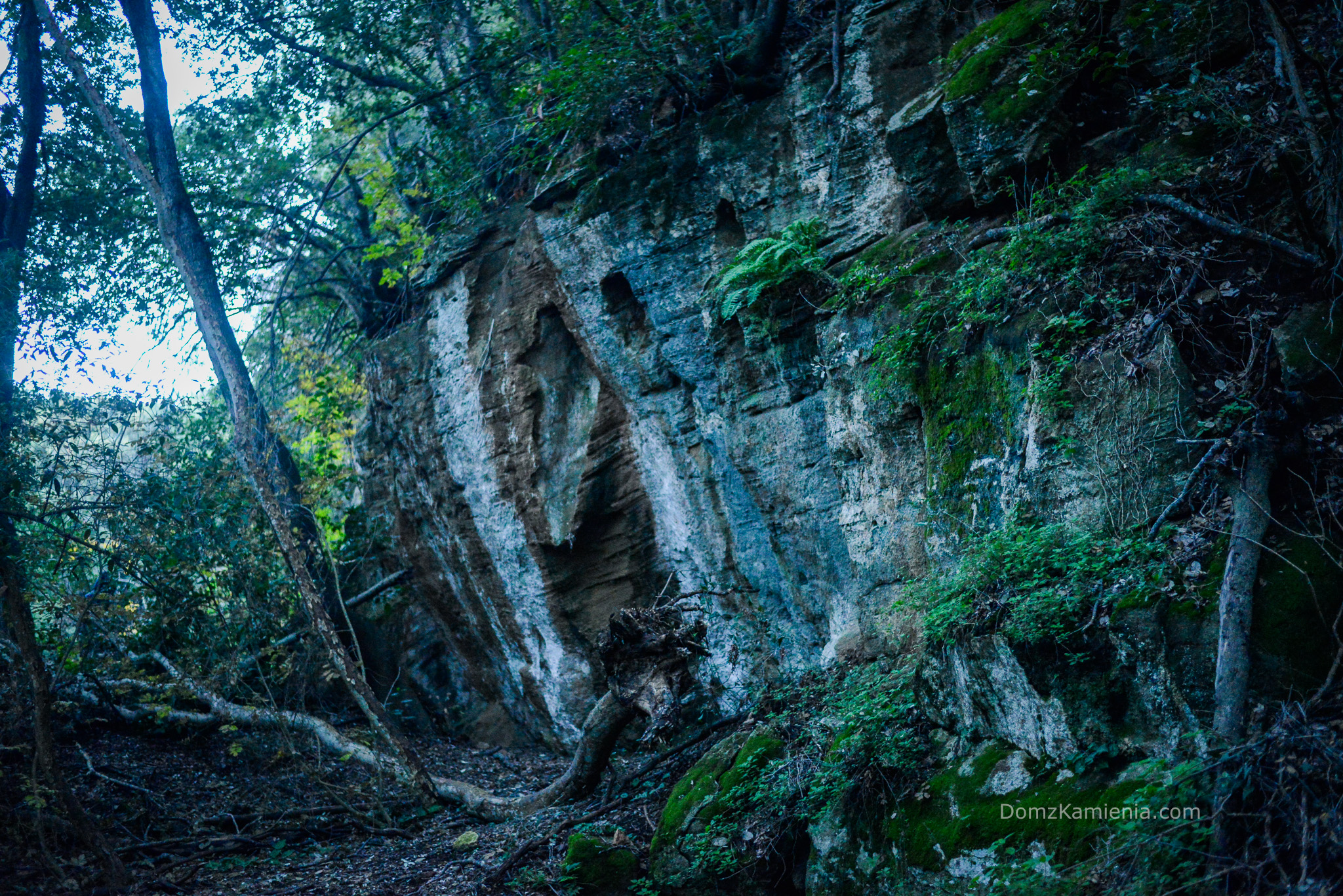 Dom z Kamienia, Populonia, park archeologiczny Baratti, blog Kasi Nowackiej