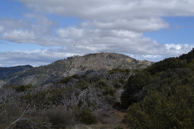 Big Pine Mountain ahead