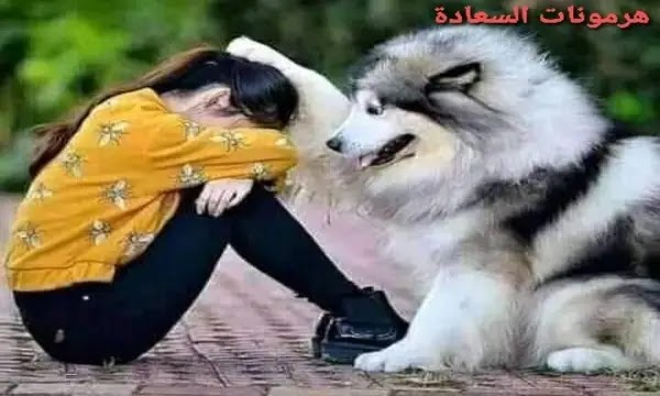 صاحبة السعادة - هرمونات السعادة
