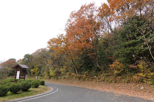 鳥取県西伯郡大山町富岡 むきばんだ史跡公園