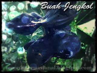 Buah Jengkol