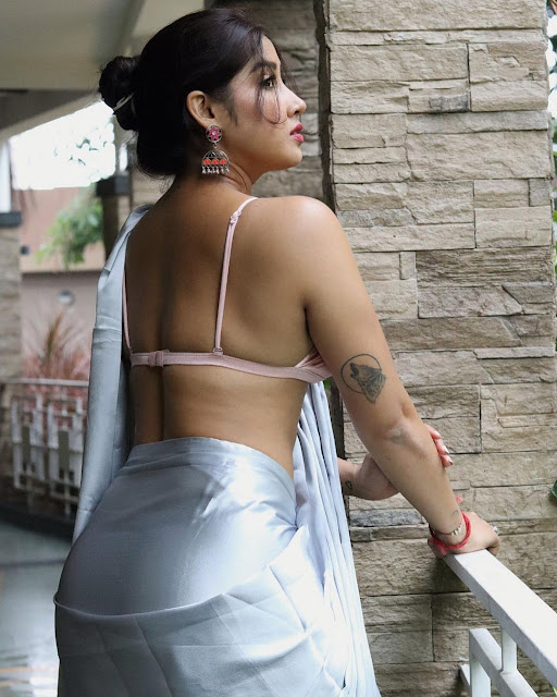 Sofia Ansari in a backless silver satin saree blouse