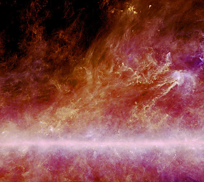 Planck satellite's view of cold dust structures within 500 light-years of the Sun