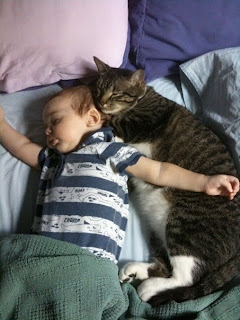 boy and cat buddy