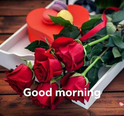 Good Morning Whatsapp Status Images In Tamil