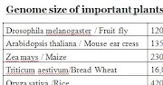 Genome Size of Important crops and model organisms