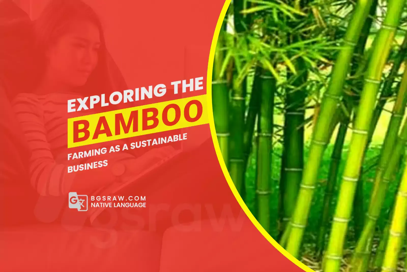 Exploring the Potential of Bamboo Farming as a Sustainable Business: The Green Gold of Agriculture