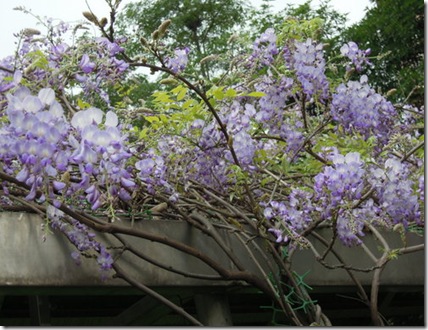 clip_image003