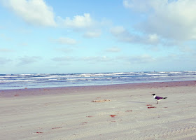 Texas Beaches