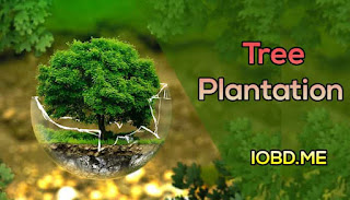 tree plantation paragraph