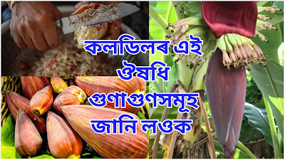 Assamese Health Tips