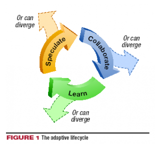 Adaptive Software Development (ASD) merupakan suatu model yang tergolong dalam agile development methods yang diusulkan oleh Jim Highsmith . Adaptive Software Development (ASD) menekankan pada pengorganisasian tim secara mandiri , kolaborasi antar-perseorangan , dan terus belajar , baik secara individu maupun secara tim