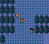 Pokemon Gold Kaizo Screenshot 00