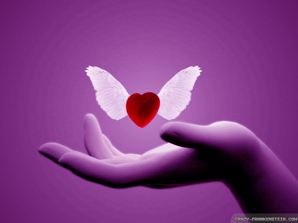 Free Download Love Wings Wallpapers | Wallpapers Area