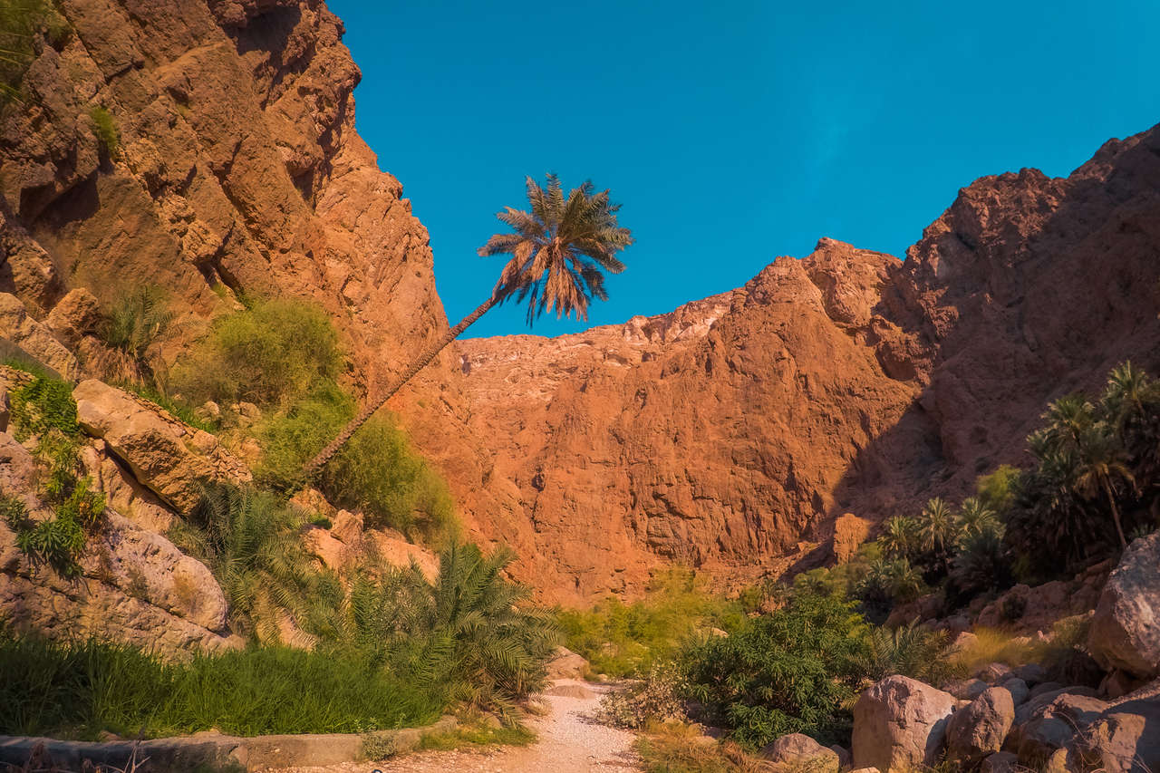 Hiking in Wadi Shab