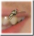 bugshot