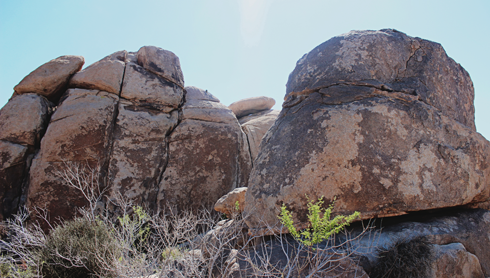 Joshua Tree National Park Desert Photography