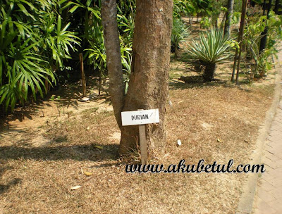 Dunia Sains Bahagian bahagian Tumbuhan
