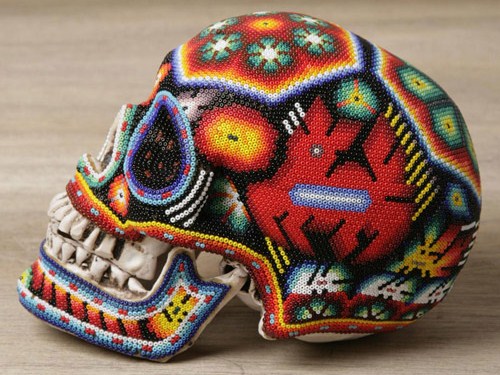 Each skull features its own