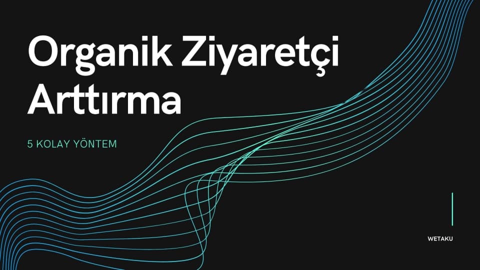 Organik Ziyaretçi Arttırma