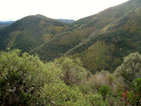 Montnegre 2009