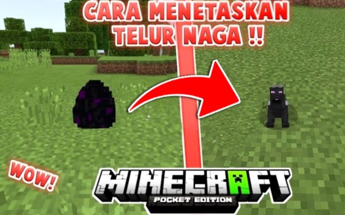 Cara Menetaskan Telur Naga di Minecraft