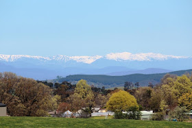 view of the Snowy Mountains from Chisholm Street Tumbarumba - photo daisyandjack 