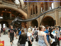 Gran patio central del Museo de Historia Natural de Londres.