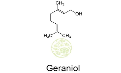 Geraniol Eilyshop