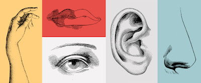 Detailed black and white sketches of the five senses in a collage. A hand, lips, an eye, an ear, and a nose. Each sketch has a different colored background: yellow for the hand, red for the lips, white for the eye, gray for the ear, and light blue for the nose.