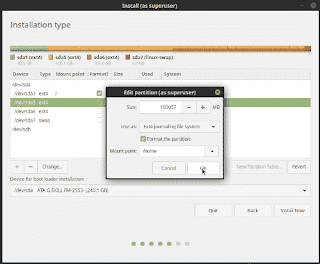 Linux Mint 19 Tara installation select format home folder