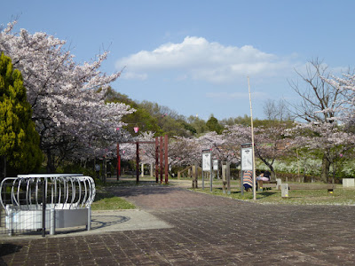 寝屋川公園 トリムコースの桜