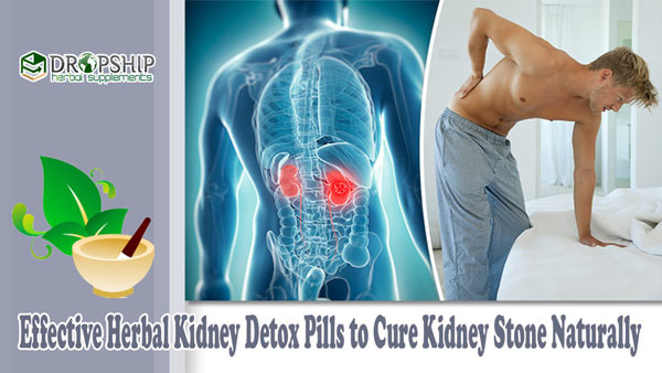 Herbal Kidney Detox Pills