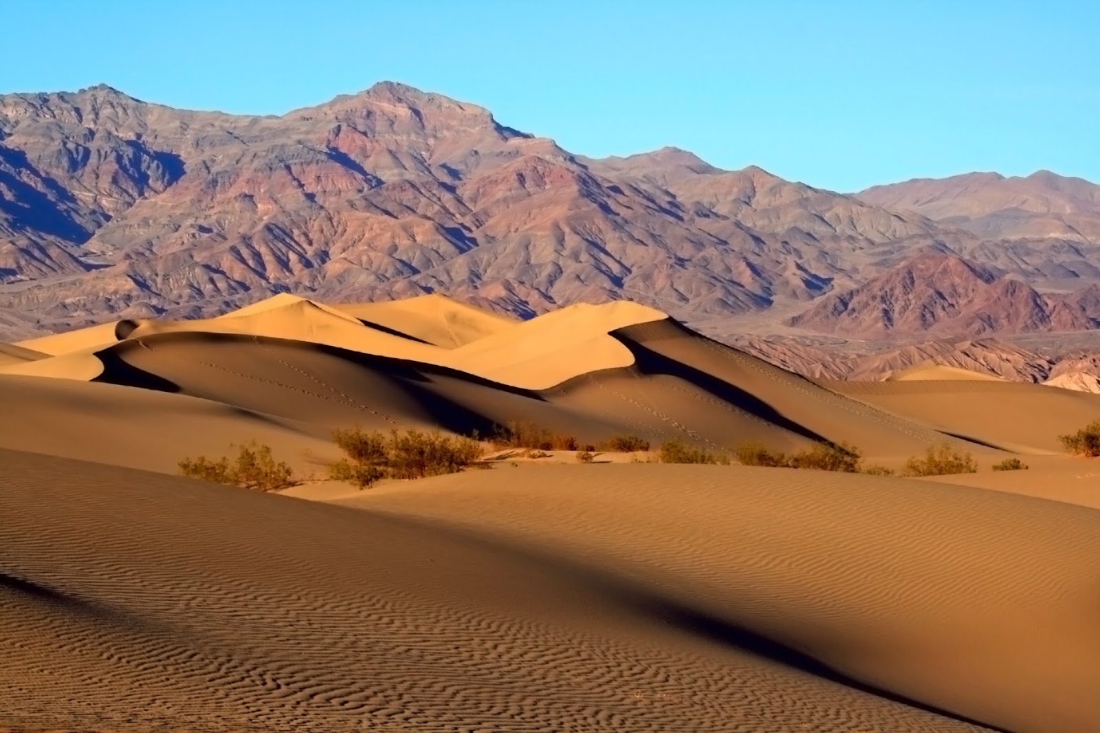 Death_Valley_Mesquite_Sand_Dunes