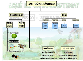 http://primerodecarlos.com/QUINTO_PRIMARIA/UNIDAD_3/actividades/naturales/ecosistema_0.swf